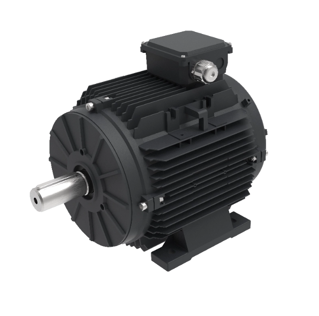 Motore EC T100