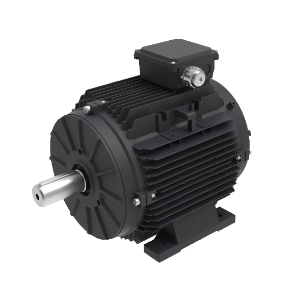 Motore EC T132